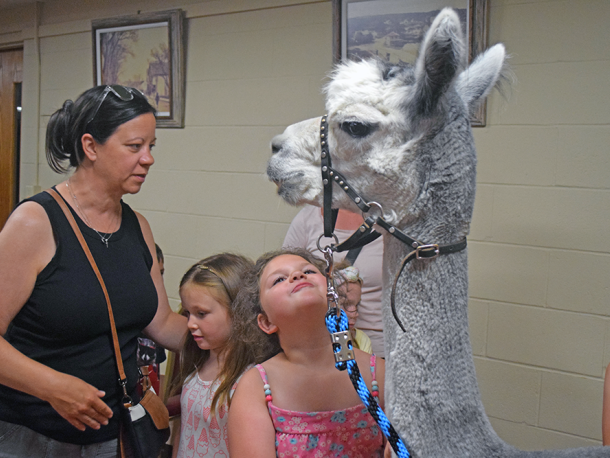 Aubrey stares lovingly at the alpaca. Photos by Kat Sheridan
