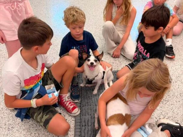 The kids meet a puppy. Source: Humane Society and Shelter Southcoast Facebook
