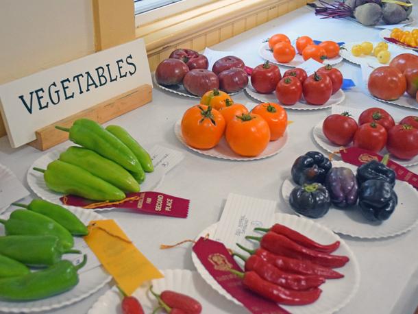 Produce displayed to be judged. Photos by Kat Sheridan
