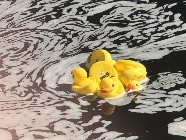 Some rubber duckies float down the river. Photos by Kat Sheridan