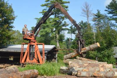Jack Delano manipulates a large crane arm to place logs onto a conveyor belt. BY SETH THOMAS