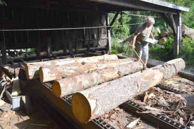 Jack Delano measures logs on the conveyor belt. BY SETH THOMAS