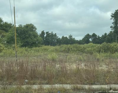 The plot of land on State Road. Photo by Kat Sheridan l