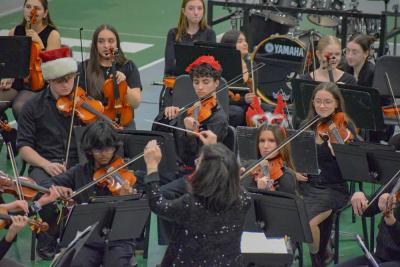 The orchestra performs.