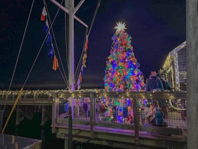 The Padanaram Buoy Tree. Photos by Kat Sheridan