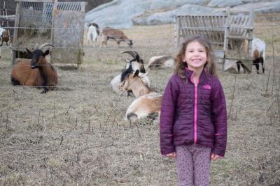 Gabriela Gouveia, 7, poses with goats.