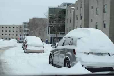 Cars snowed in at UMass Dartmouth.
