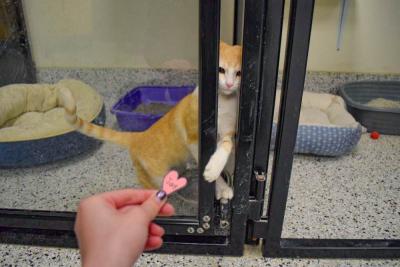 Conie was eager to come out and play.