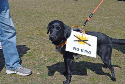 Even dogs were demanding no kings.