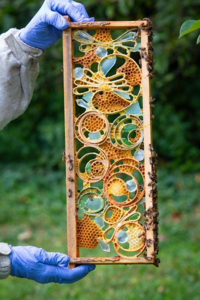 A piece by Susan Medyn. Source: Elizabeth Antonell