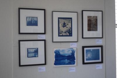Jill Law's cyanotype pictures. 
