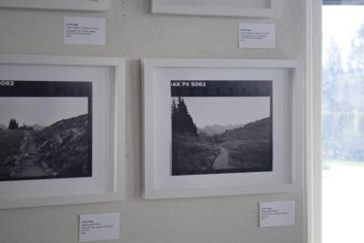 Film edited to be printed. Photos by Kat Sheridan