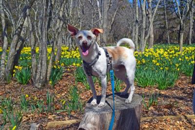 Billy poses in front of the fields. 