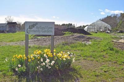 Helfand Farm. Photos by Kat Sheridan