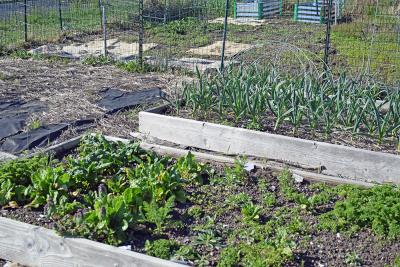 A very successful plot. 