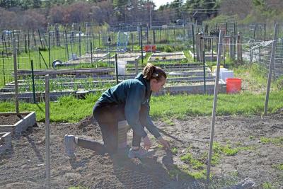 Chelsea from New Bedford tends to her plot. 