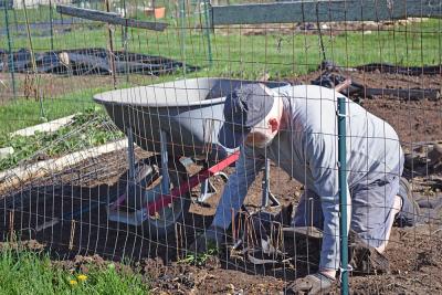 Dan Patten of New Bedford begins weeding his plot. 