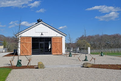 Anchor Rock Vineyards. 