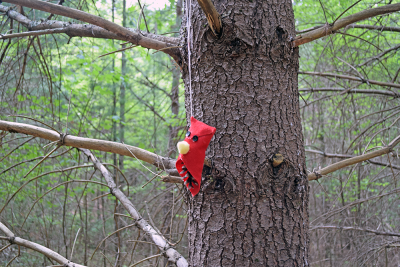 A cardinal gnome. 