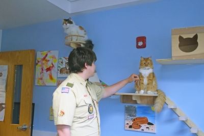 Zane Moriarty pets one of the office cats. 