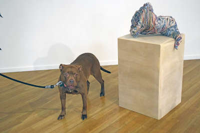 A dog discovered the joy of art. 