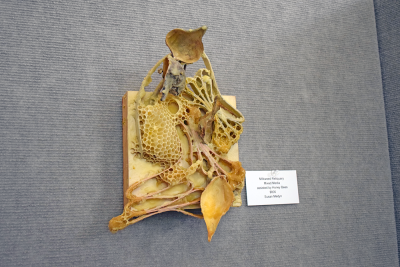 Medyn often uses milkweed in her pieces.