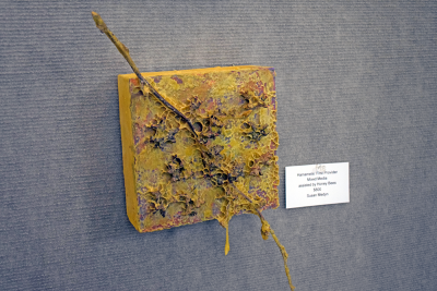 This piece incorporated a branch with tree resin, which the bees use as a medicine. 