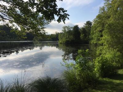 Cornell Pond. Stock photo