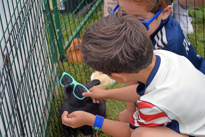 Jospeh Cetola, age 5, dresses up a bunny. 