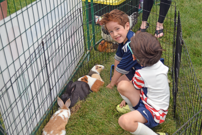 Benjamin Cetola, 6, and Joseph Cetola, 5, pet the guinea pigs. 