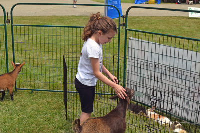 Brooklyn Leonard, 8, pets one of the goats. 