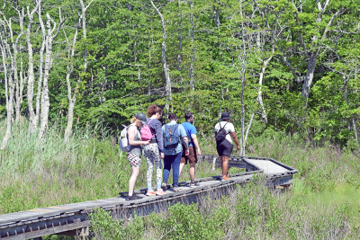 The group passes over the boardwalk. 
