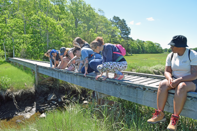The group looks for creatures in the water. Photos by Kat Sheridan