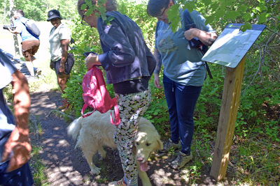 A passing group had a dog, who was as excited as the hikers to see each other. 