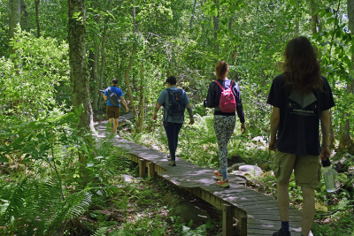 The group passes over the boardwalk. 