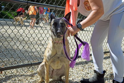 Skyla begs the reporter for treats. 