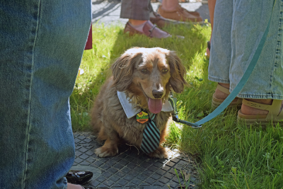 Murphy, looking very dapper for the event. 