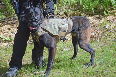 Even police dogs showed up!
