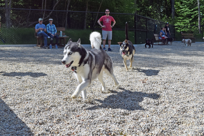Zoe plays a game of tag with Buddy. Photos by Kat Sheridan