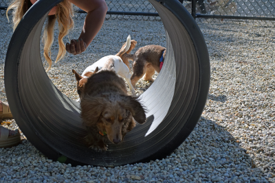 Murphy runs through a tunnel. 