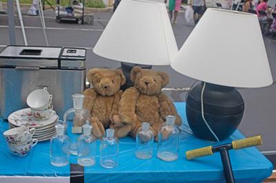 bears
