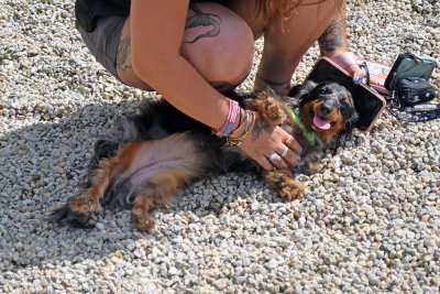 Mabel enjoys some belly rubs. 