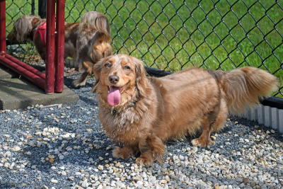 Murphy smiling at the camera. 