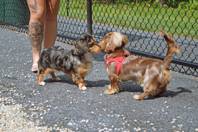 Sniffing around. 