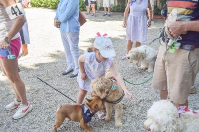 A child enjoys the seemingly endless dogs to pet. 