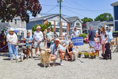 All of the winning dogs.