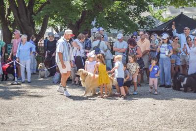 A number of kids stepped forward to pet Maverick.