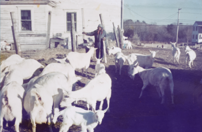 goat lady