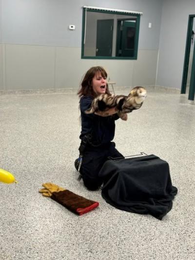 Devin Cloutier talks about her job. Source: Humane Society and Shelter Southcoast Facebook