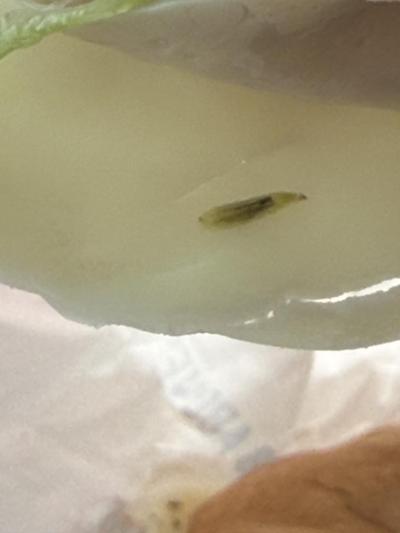 The larva Kayla Nelson found in her Jersey Mike’s sub. Photo by Kayla Nelson